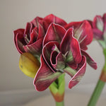 img-2|7da94270
