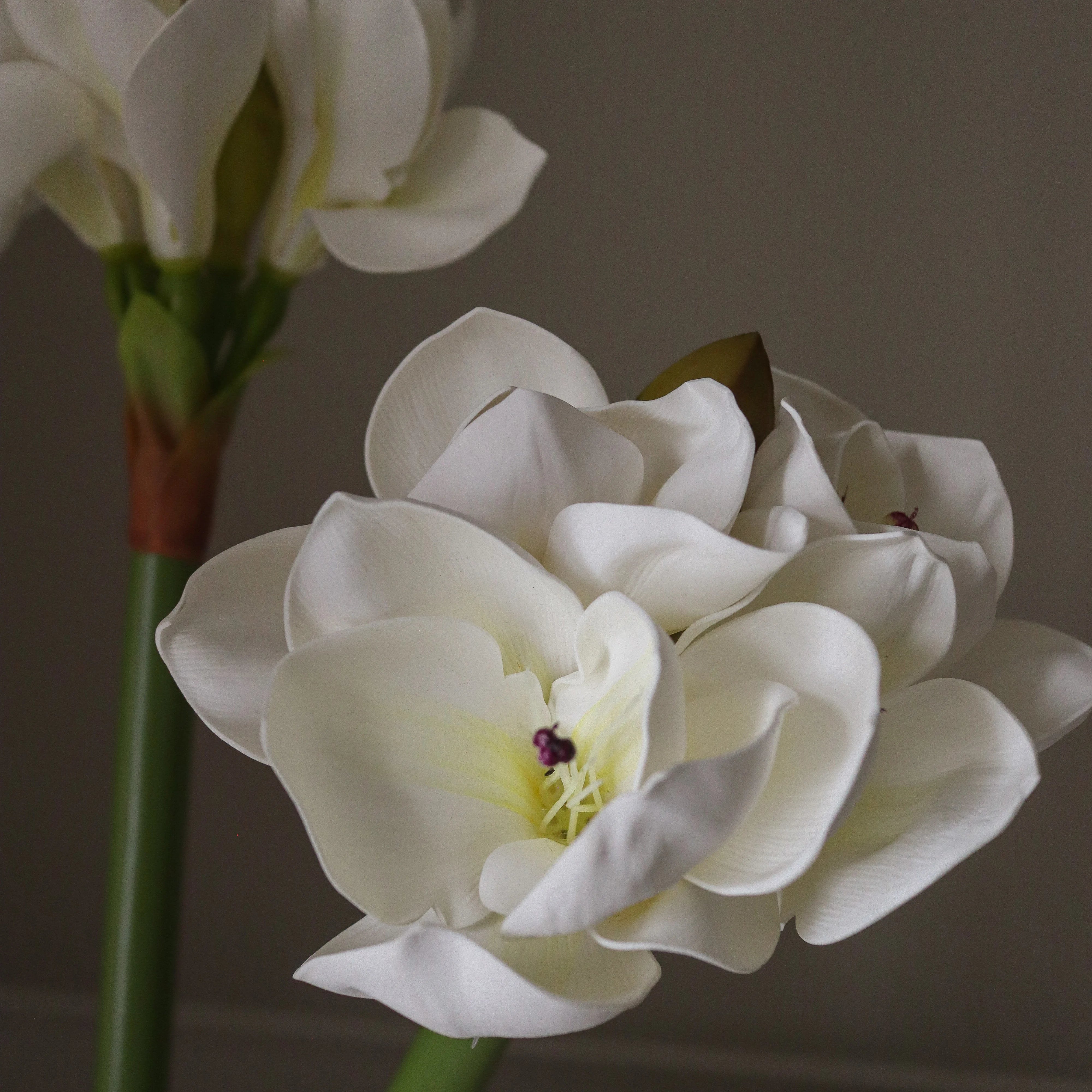 img-2|ca801623