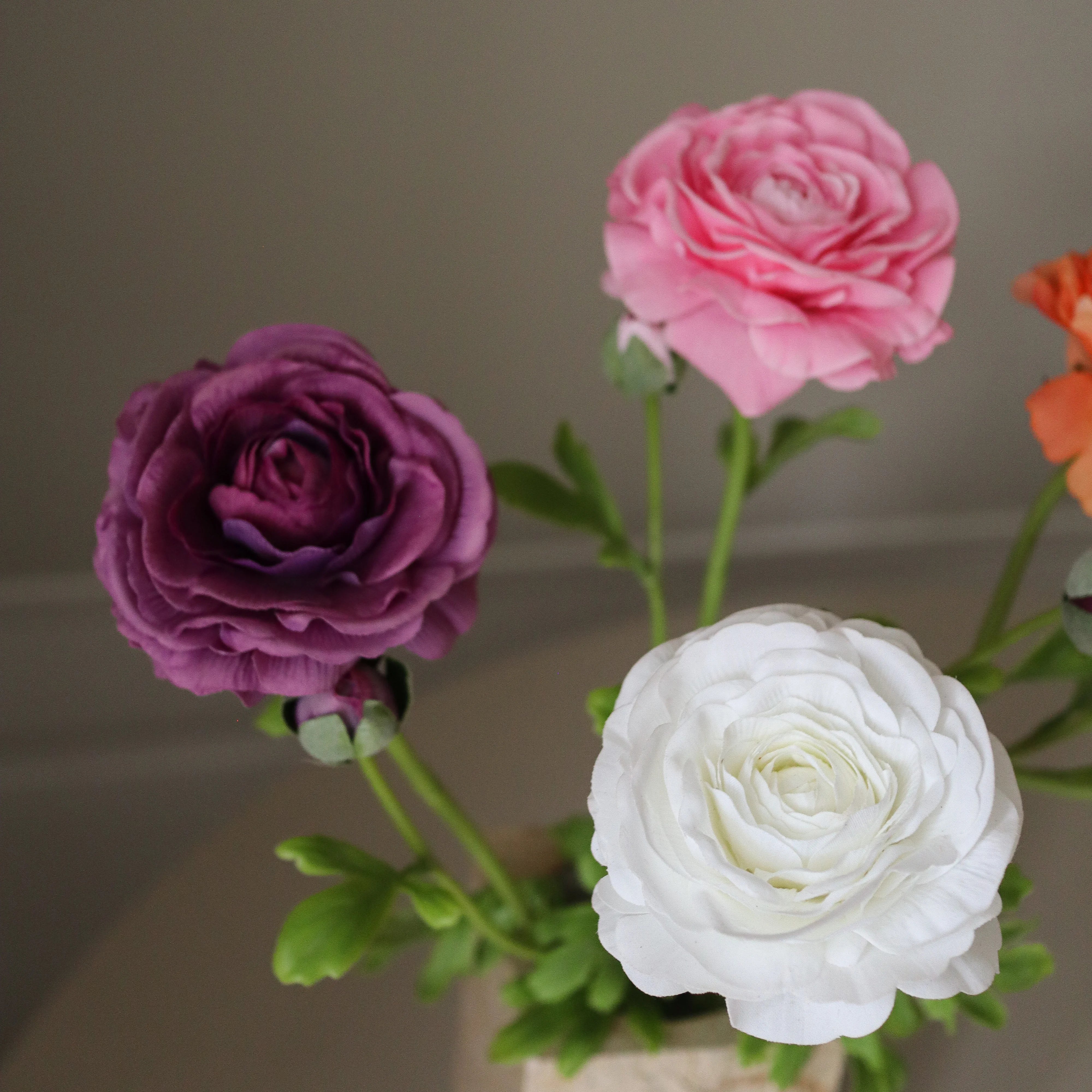 img-2|97856d8a