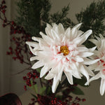 img-2|9cb51337