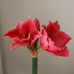 img-2|e067945f