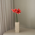img-3|ae72d637