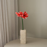 img-3|ae72d637