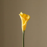 img-2|1d94b180