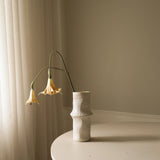 Beige Datura Stramonium Flower