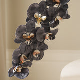 Black Large Orchid Flower