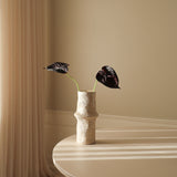 Black Small Anthurium Flower