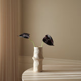 Black Small Anthurium Flower
