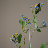 Blue Chamomile Daisy Flowers