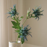 Blue Eryngo "Sea Holly" Flower