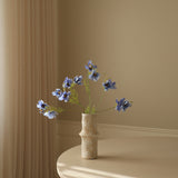 Blue Large Cosmo Daisy Flowers