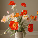 img-2|477b8687