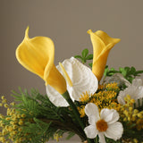 img-2|4307bb9e