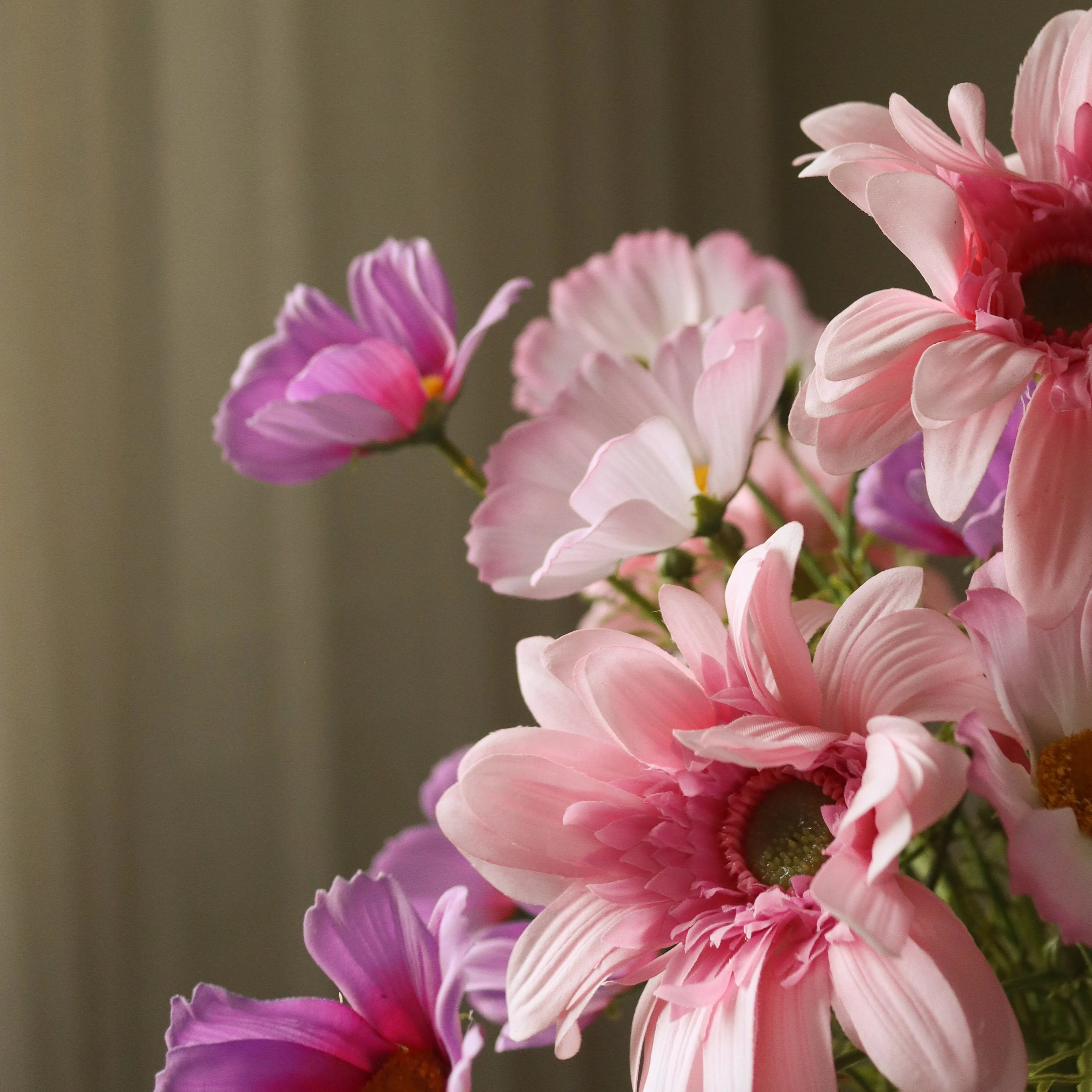 img-2|91f3d817