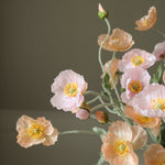 img-2|521ef831