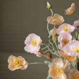 img-2|521ef831