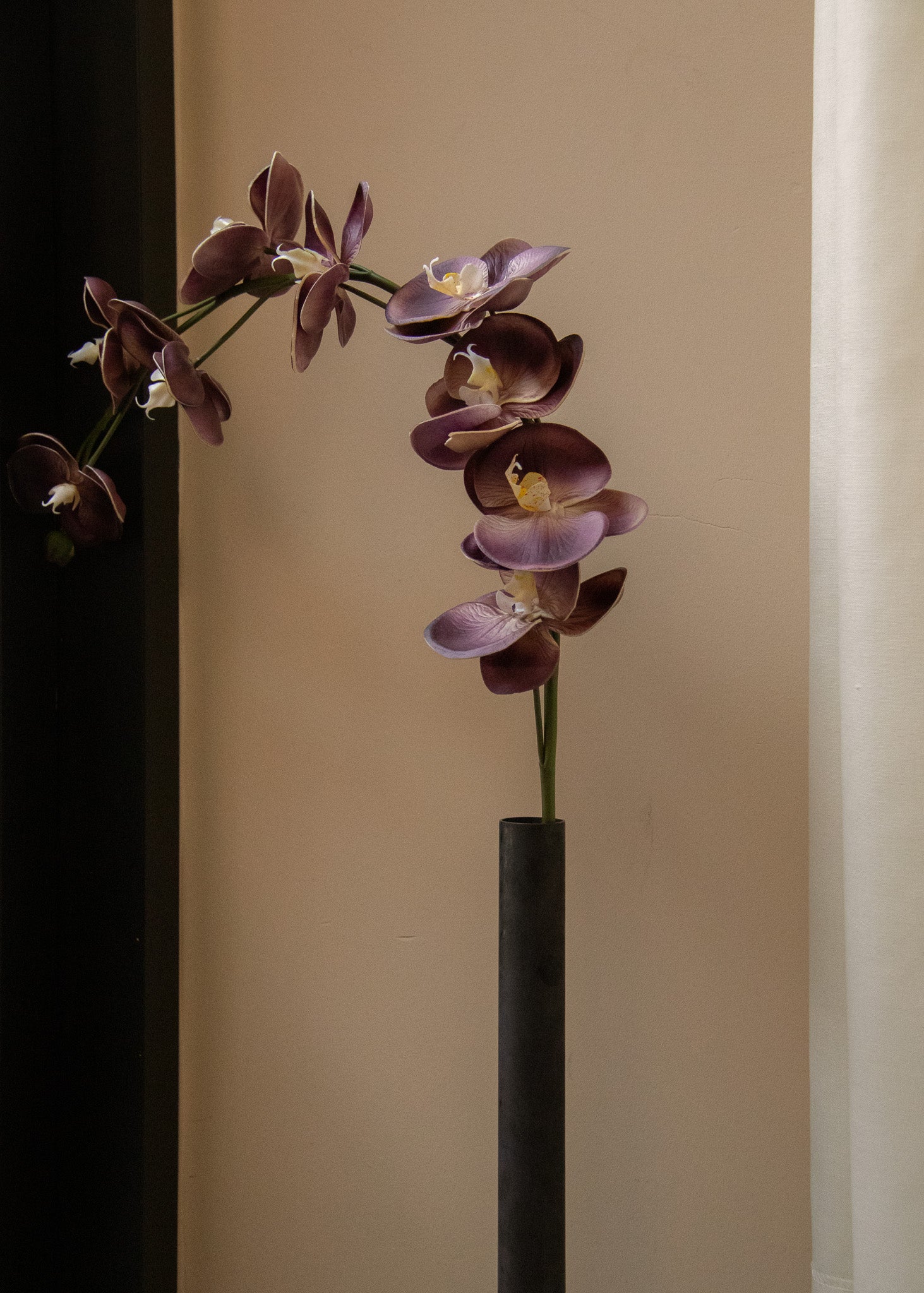 Botané | Artificial Floral Design Studio