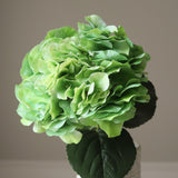 Bright Green Hydrangea Flower