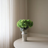 Bright Green Hydrangea Flower