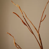 Brown Birch Branch