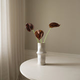 Brown Small Anthurium Flower