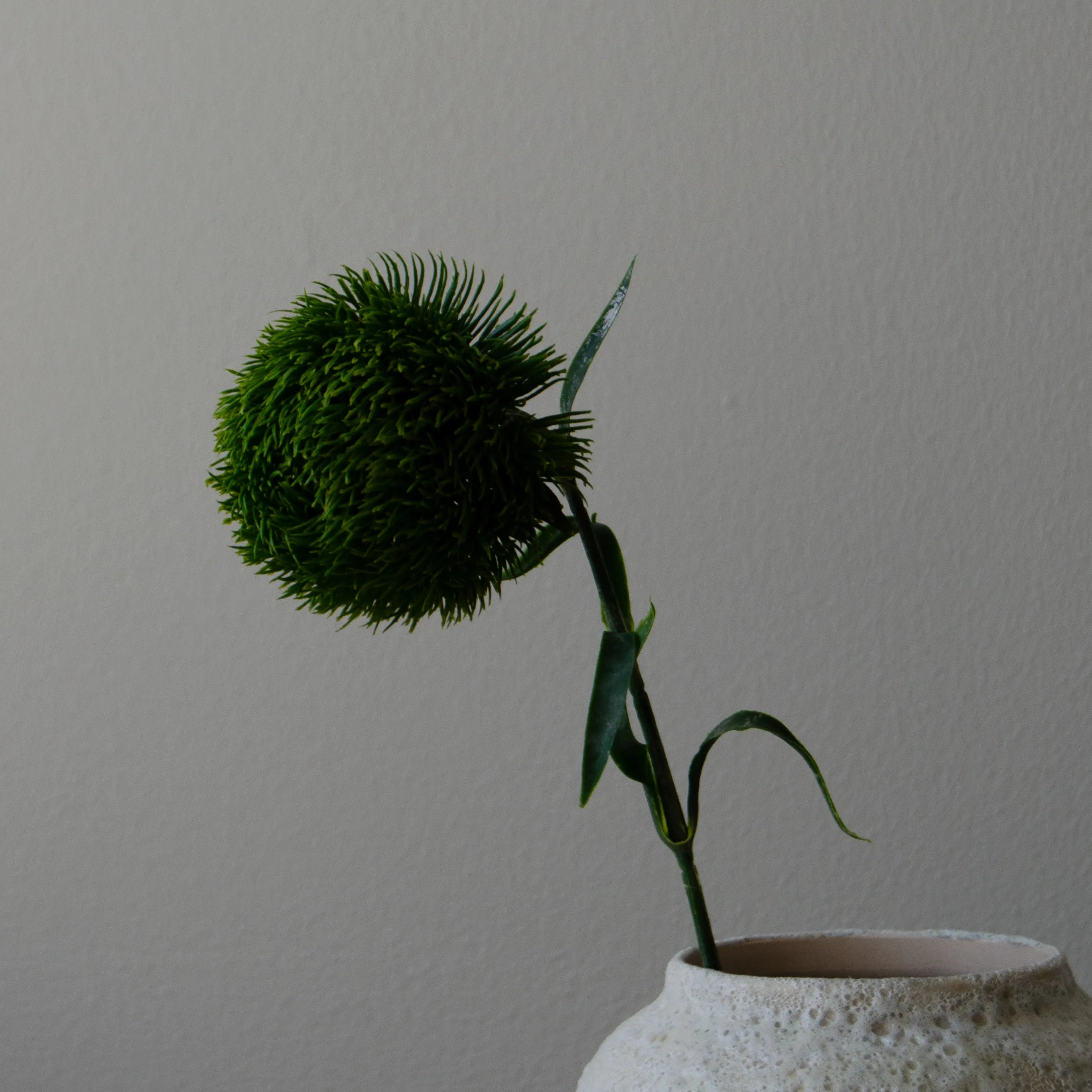 Artificial Dianthus Barbatus "Green Ball" from Botané