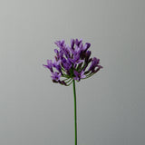 Artificial Agapanthus Flower from Botané