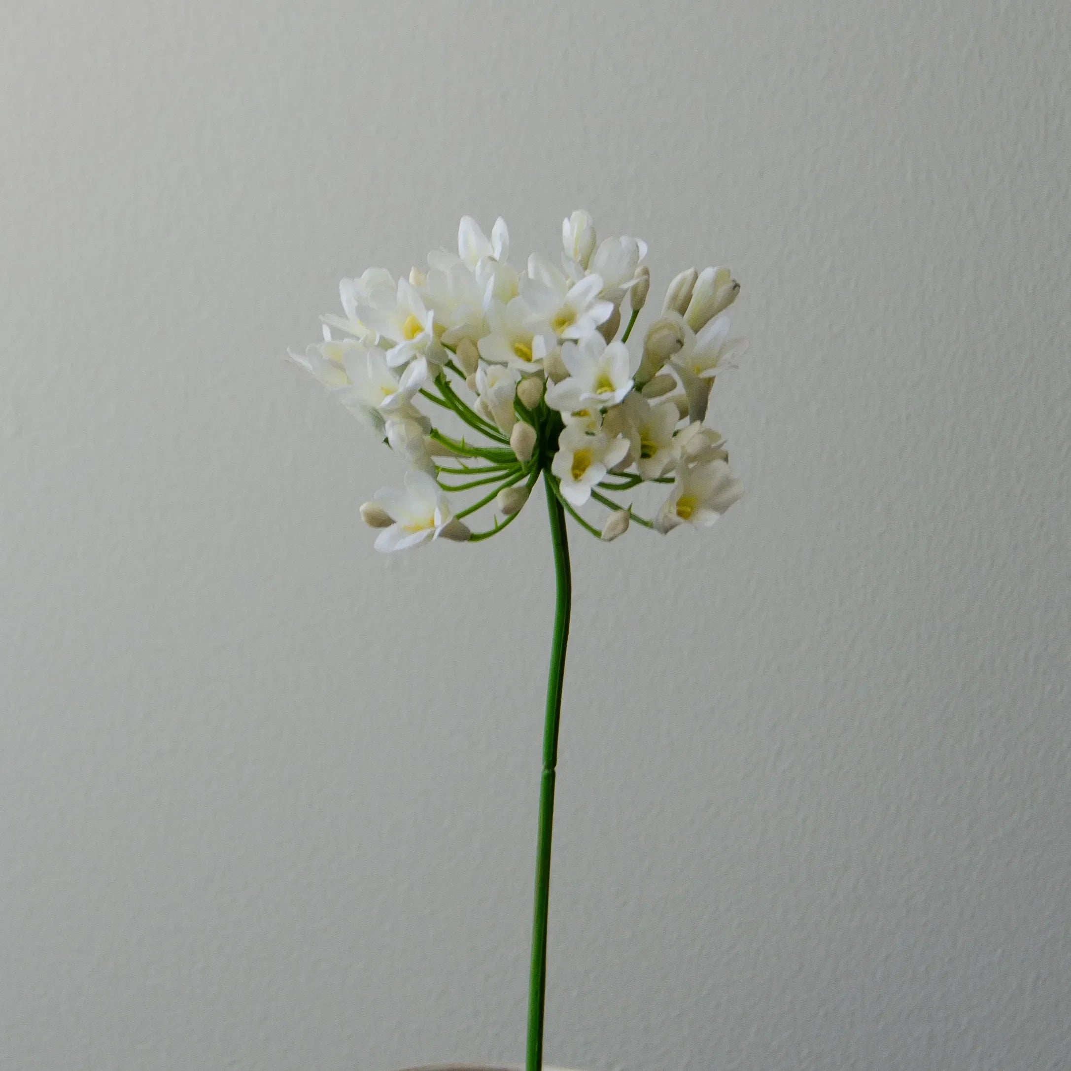 Artificial Agapanthus Flower from Botané