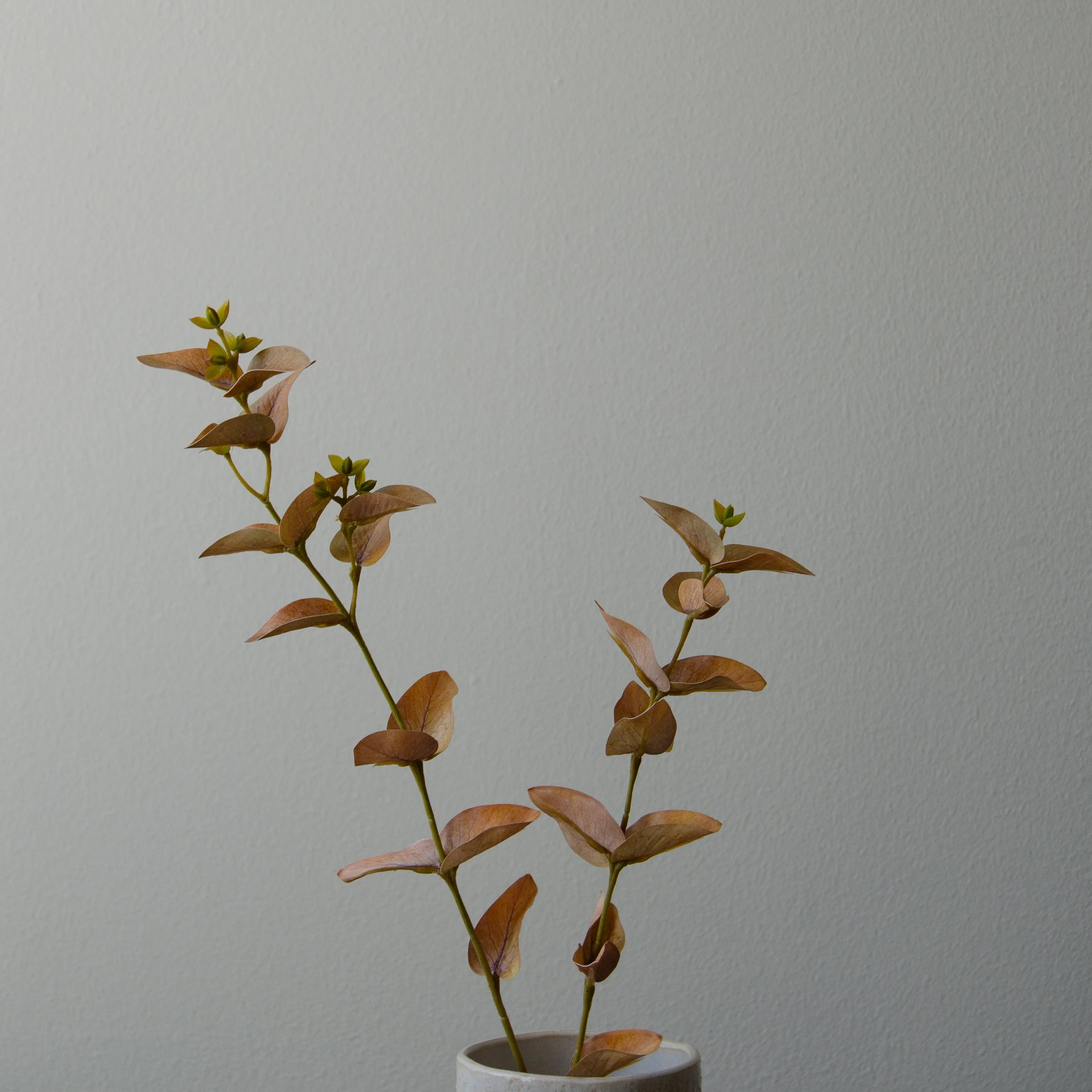Artificial Eucalyptus Leaves from Botané