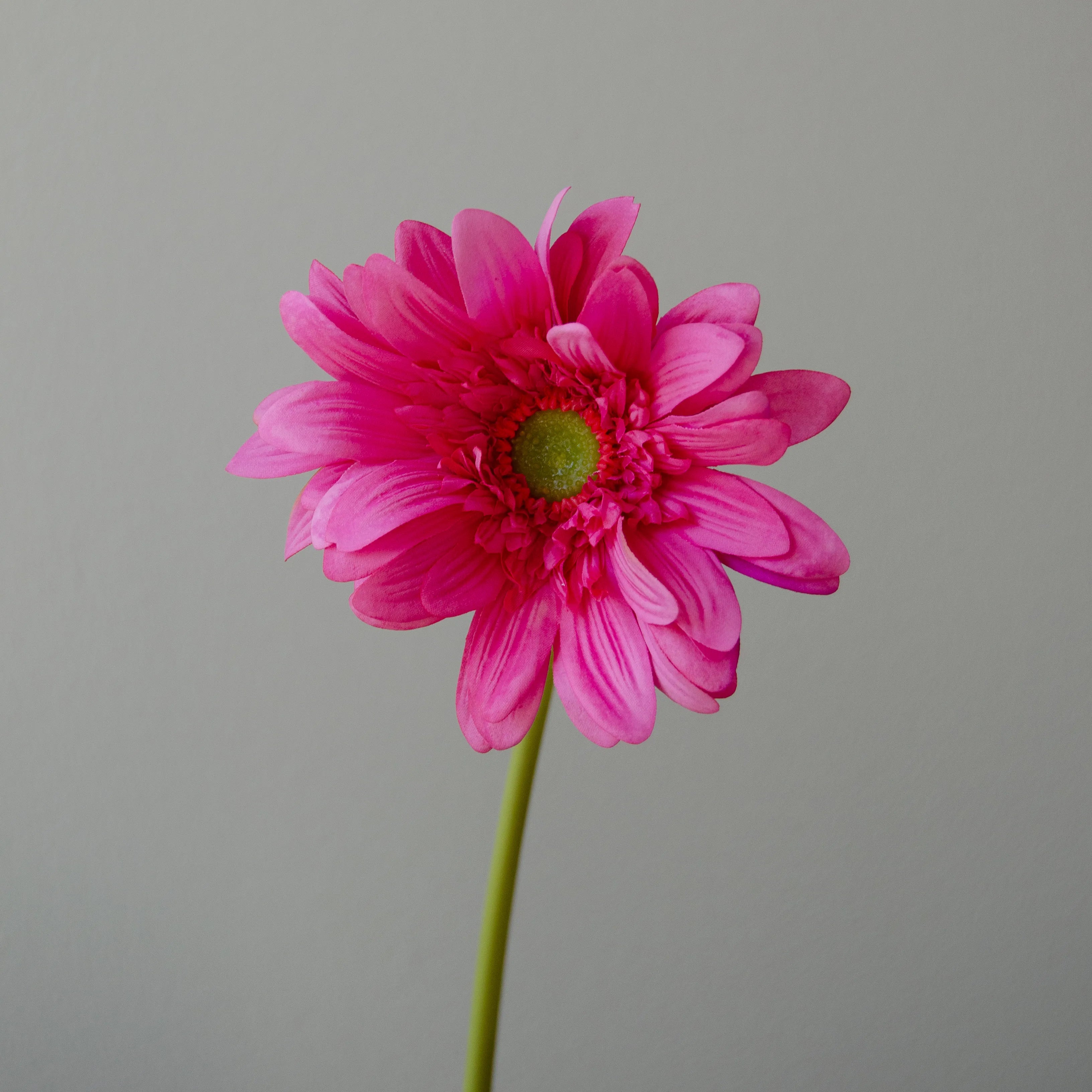 Artificial Gerbera Daisy Flower from Botané