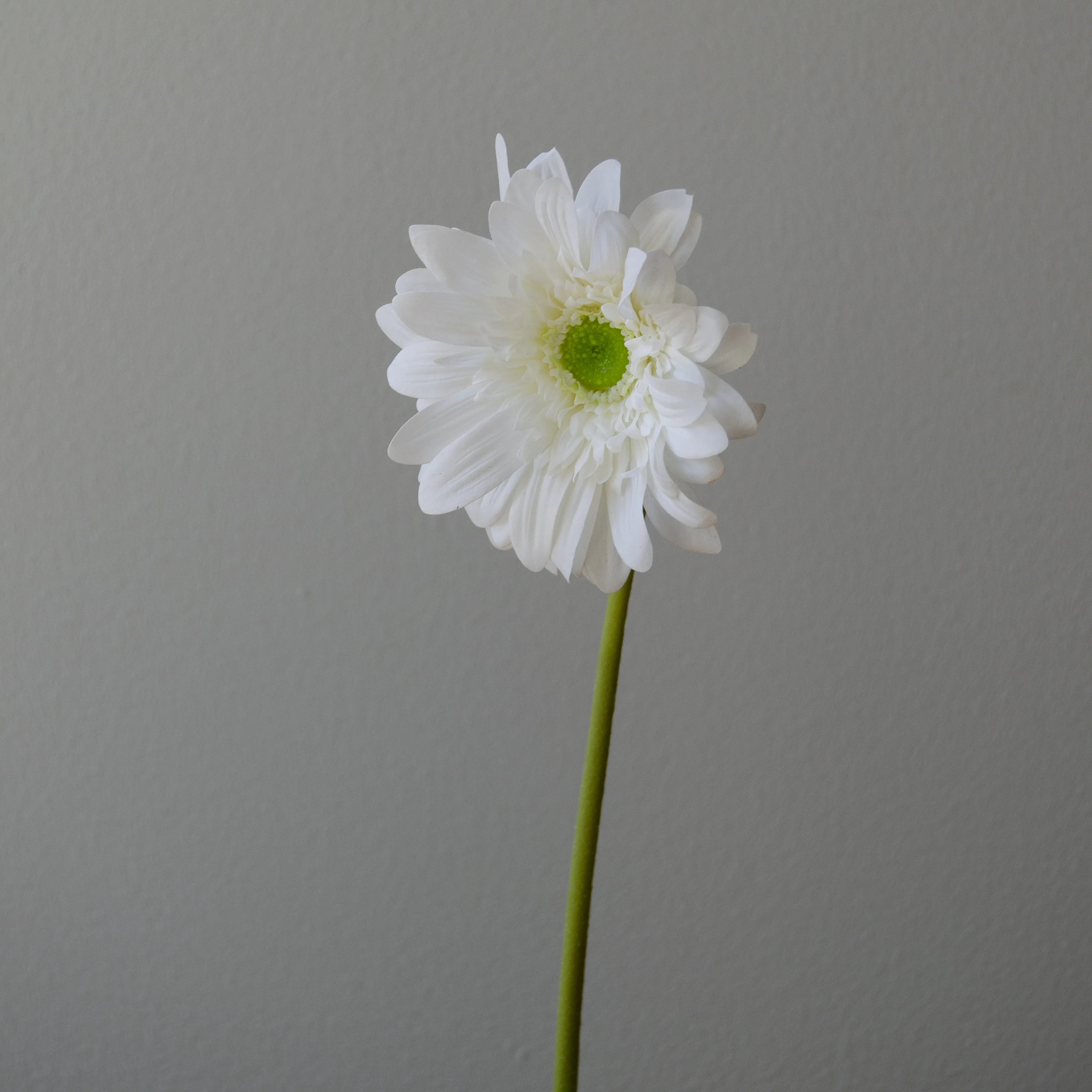 Artificial Gerbera Daisy Flower from Botané