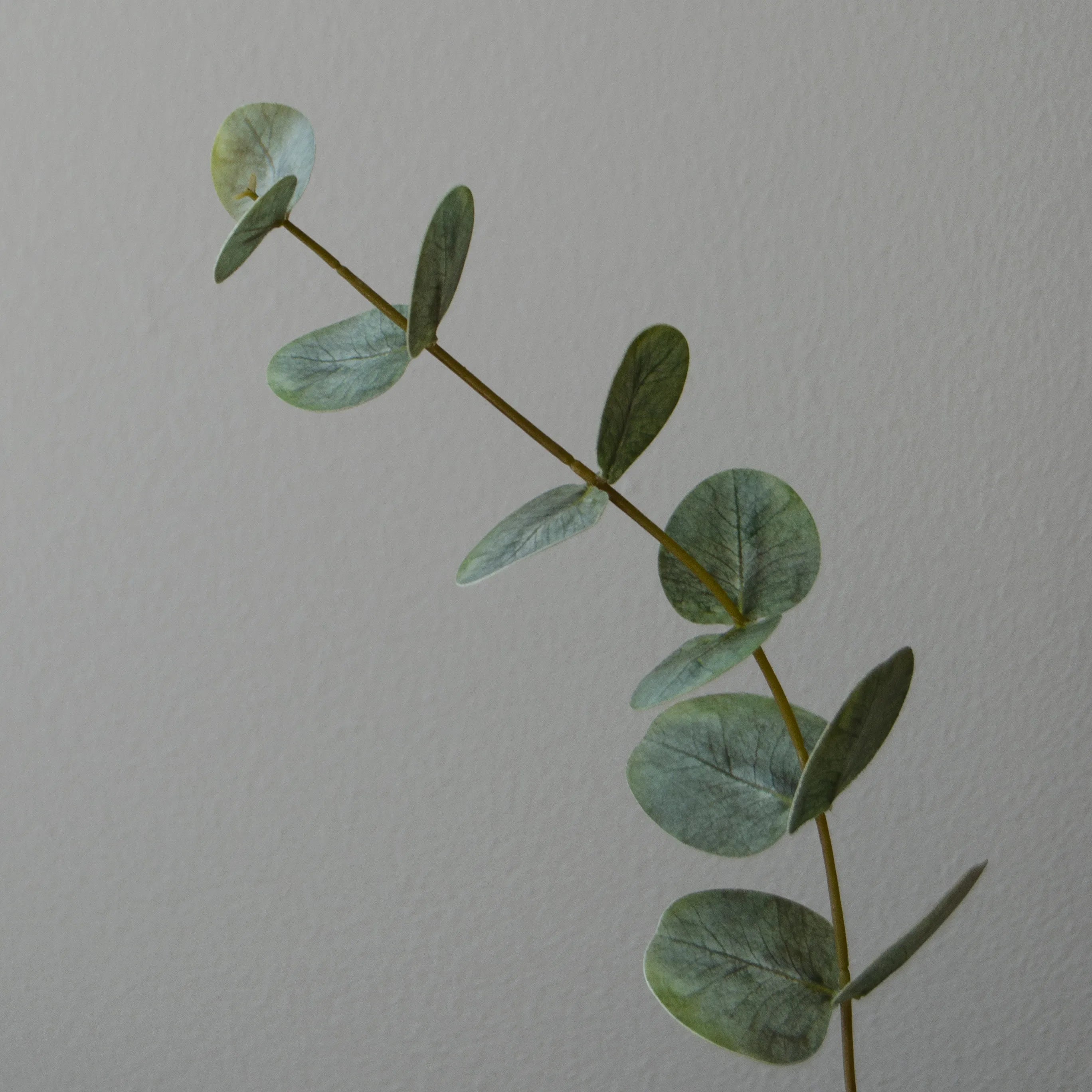 Artificial Small Eucalyptus Leaves from Botané