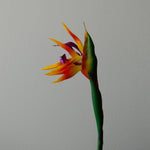 Artificial Strelitzia "Bird of Paradise" Flower from Botané