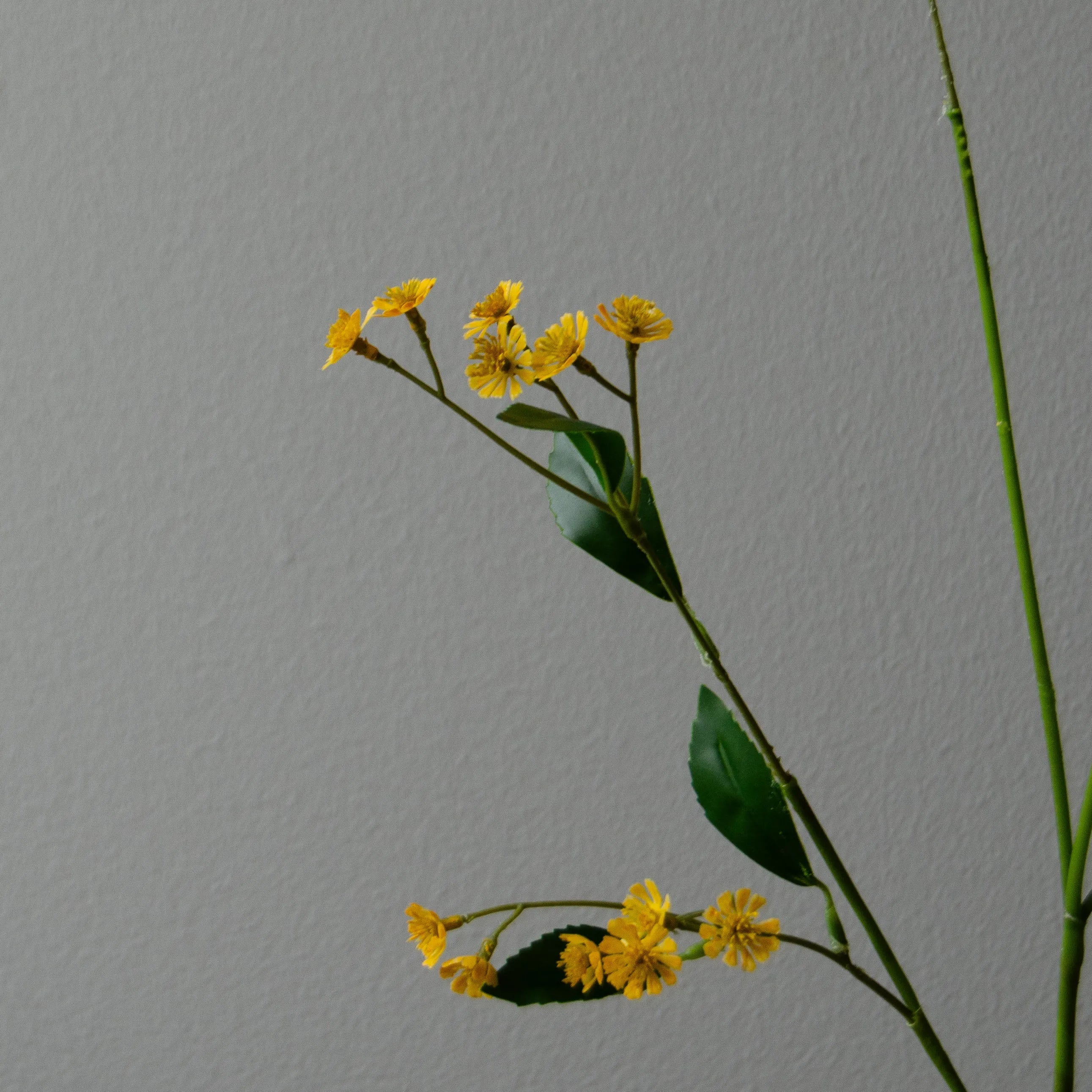 Artificial Chamomile Daisy Flowers from Botané