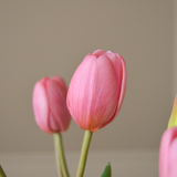 Pink Tulip Bouquet