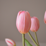 Light Pink Tulip Bouquet