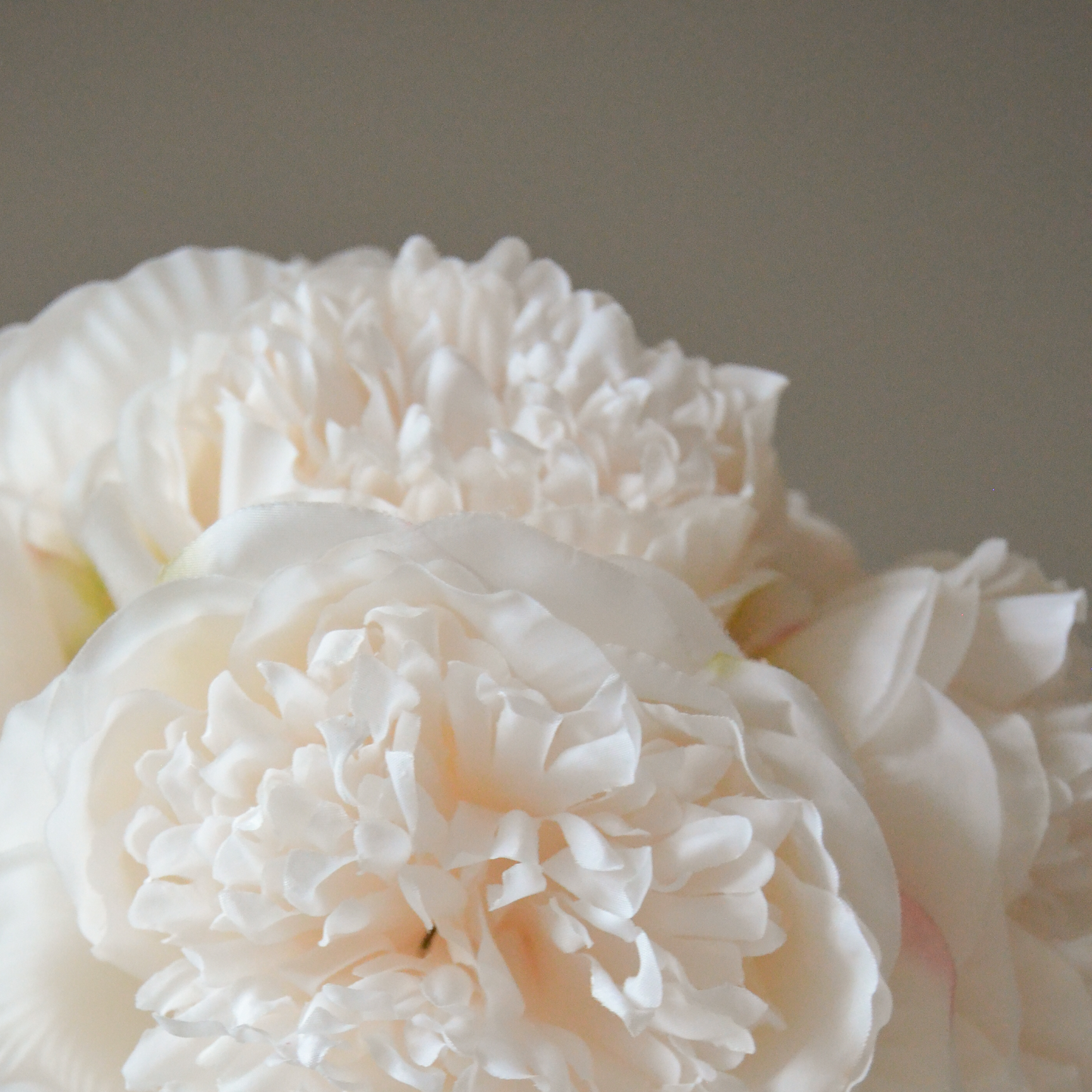 Shop unique and beatiful flower vases from Botané