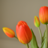 Tulip Bouquet