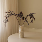 Dark Green Parvifolia "Gunni" Eucalyptus Leaves