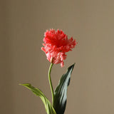 Dark Pink Large Parrot Tulip Flower