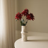 Dark Red Cactus Dahlia Flower