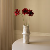 Dark Red Gerbera Daisy Flower