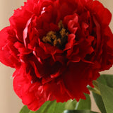 Dark Red Peony Flower