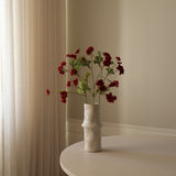 Dark Red Zinnia Flowers