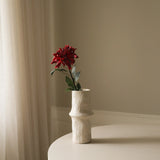 Dark Red Cactus Dahlia Flower