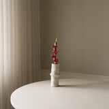 Dark Red Gladiolus Flower