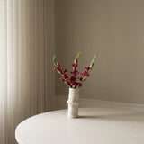 Dark Red Gladiolus Flower