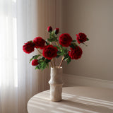 Dark Red Peony Flower