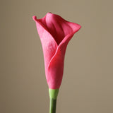 Dark Pink Calla Lily Flower