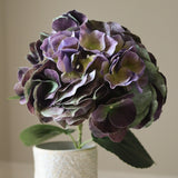 Faded Purple Hydrangea Flower